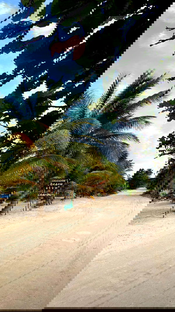 manjolamuriqi manjolamuriqi archive image