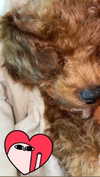 kteaworld Altpins Profile Picture
