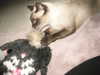 lolontlia Altpins Profile Picture