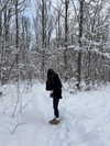alishevs Altpins Profile Picture