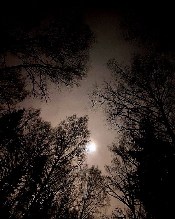 vampiryska instagram image archive image