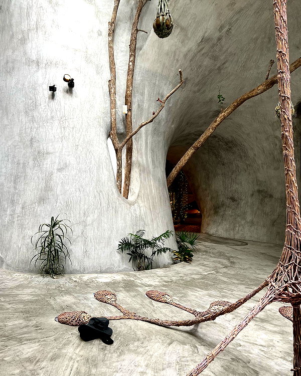 daryanedarya instagram image archive image