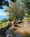 yaeel_k Altpins Profile Picture