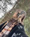 f4iryybl00d Altpins Profile Picture