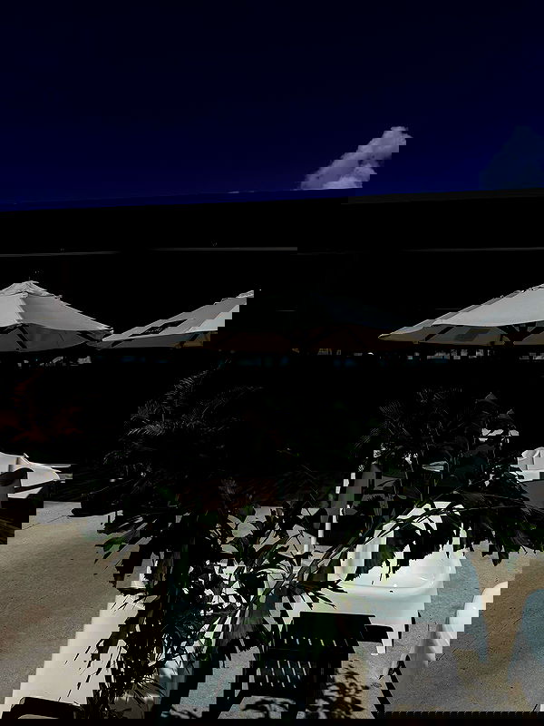 gwendolynceline gwendolynceline archive image