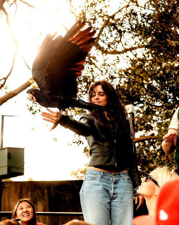 camila_cabello instagram image archive image