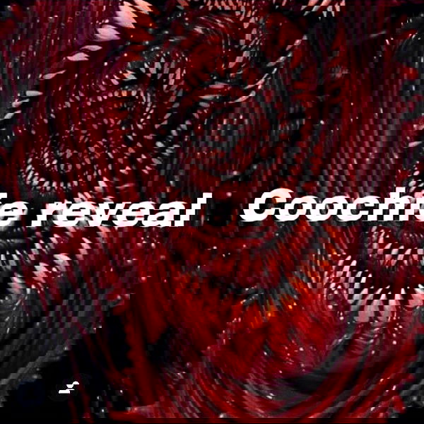 missnyxdawn missnyxdawn archive image