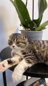 sonia_litvanchuk Altpins Profile Picture