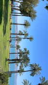 libby_reut Altpins Profile Picture
