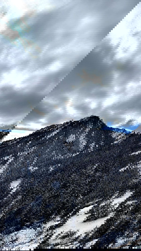 thelizzyporter thelizzyporter archive image