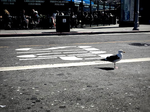 adihimelbloy instagram image archive image