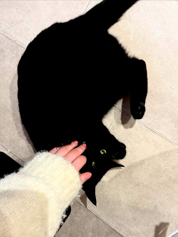 catl0verr69 instagram image archive image