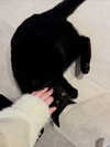 catl0verr69 Altpins Profile Picture