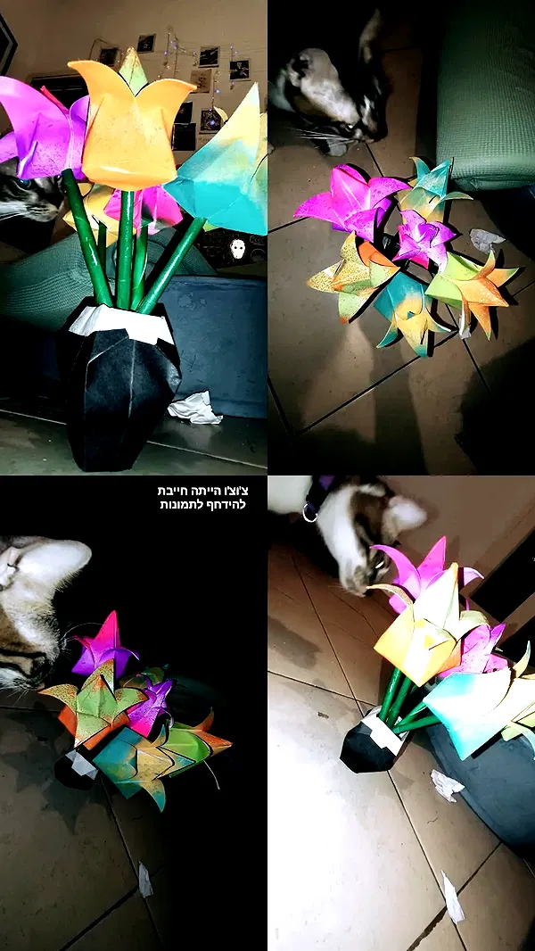 moonyyyya moonyyyya archive image