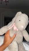 elizabethcampbelljones Altpins Profile Picture