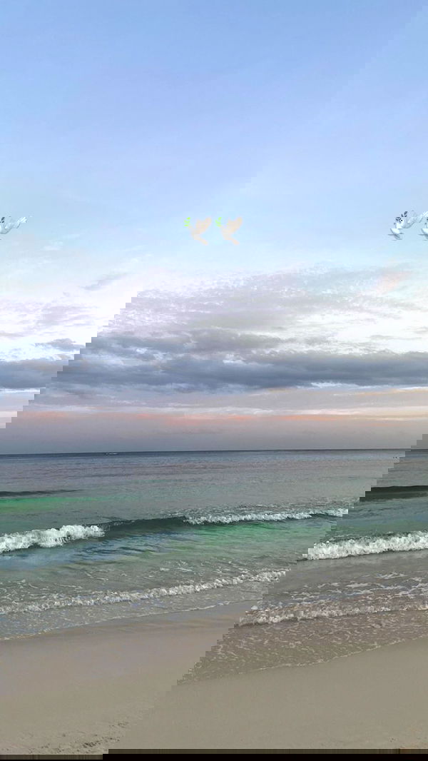 manjolamuriqi manjolamuriqi archive image