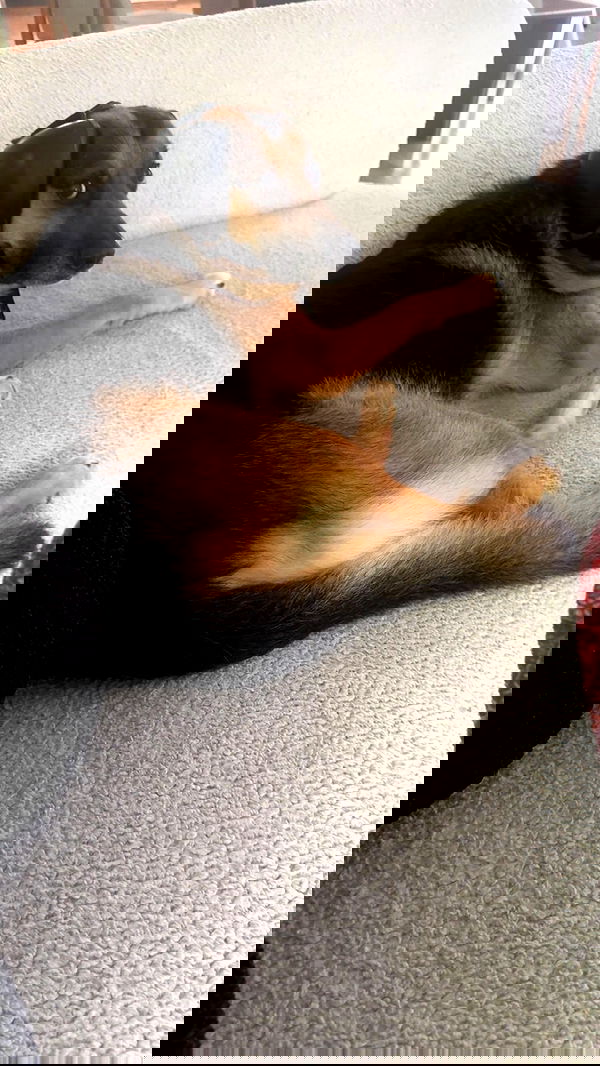 little.warren_ little.warren_ archive image