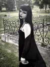 kittenfangsxx Altpins Profile Picture