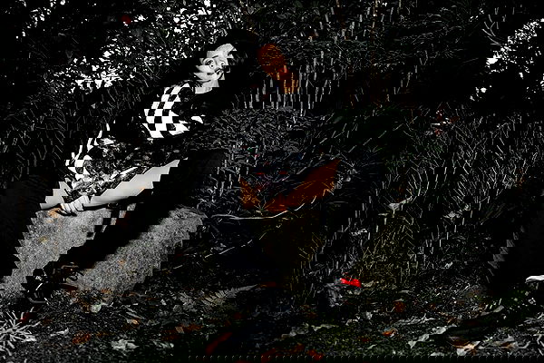 ting851204 ting851204 archive image