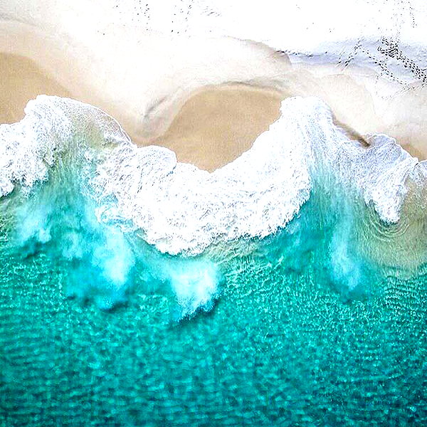 allieauton instagram image archive image