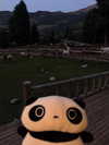 basakerrrrr Altpins Profile Picture
