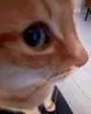 milkiwifey Altpins Profile Picture