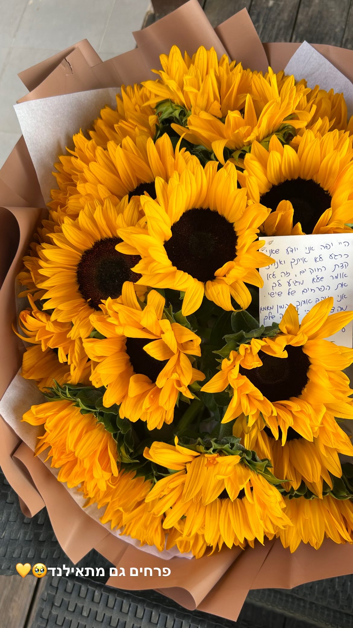 tuliish_ instagram image archive image