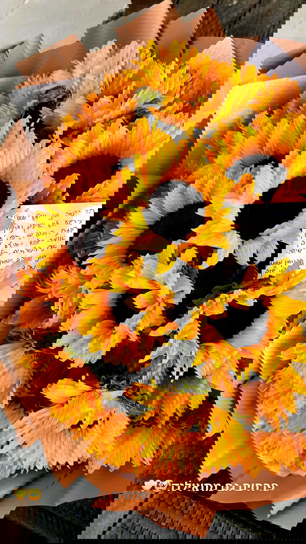 tuliish_ image ~ Altpins