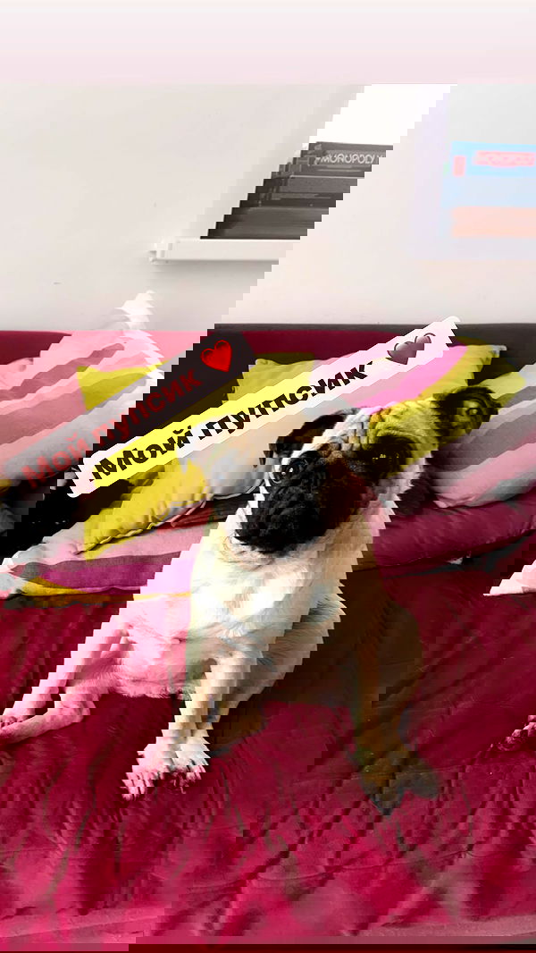 nyityam nyityam archive image