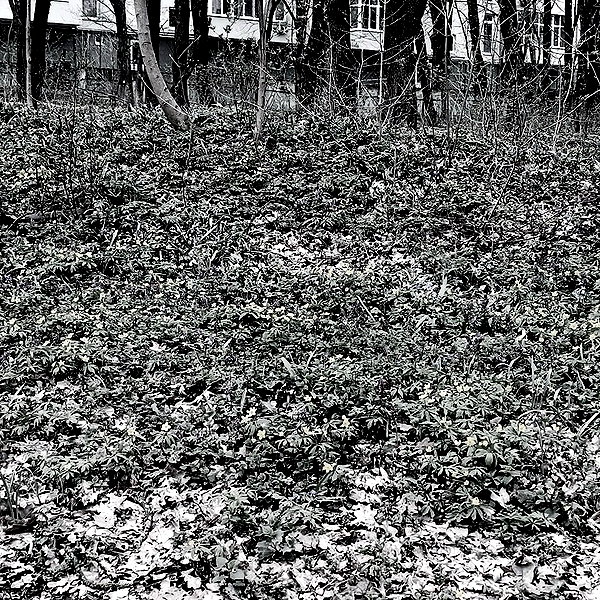 hav_oku instagram image archive image