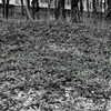hav_oku Altpins Profile Picture