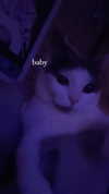 livindeadyaz Altpins Profile Picture