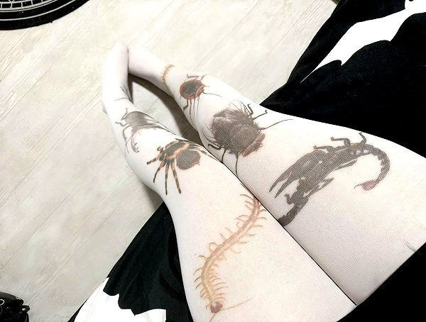 svcriligiosa instagram image archive image