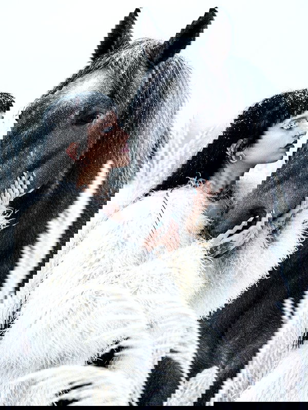 strawberryshanz strawberryshanz archive image