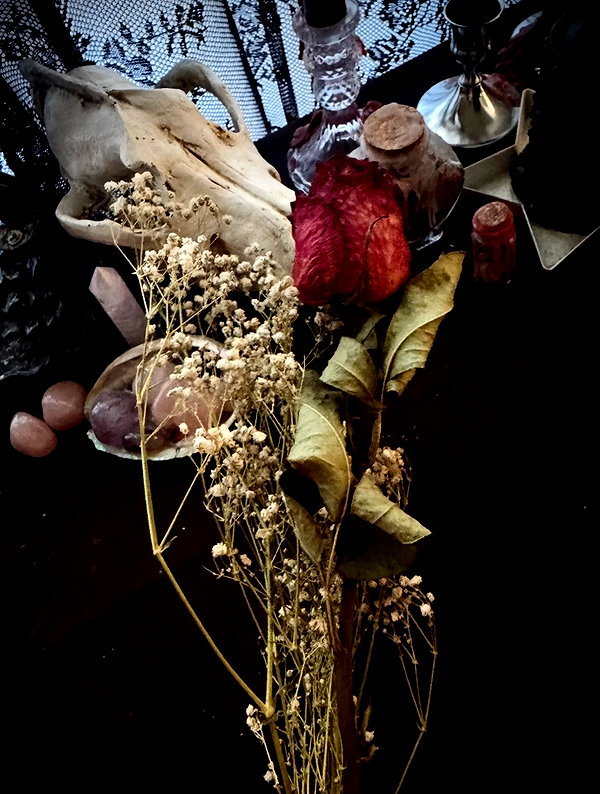svcriligiosa instagram image archive image