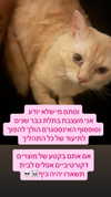 maycohen8 Altpins Profile Picture