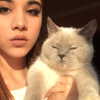 owlydiaa Altpins Profile Picture