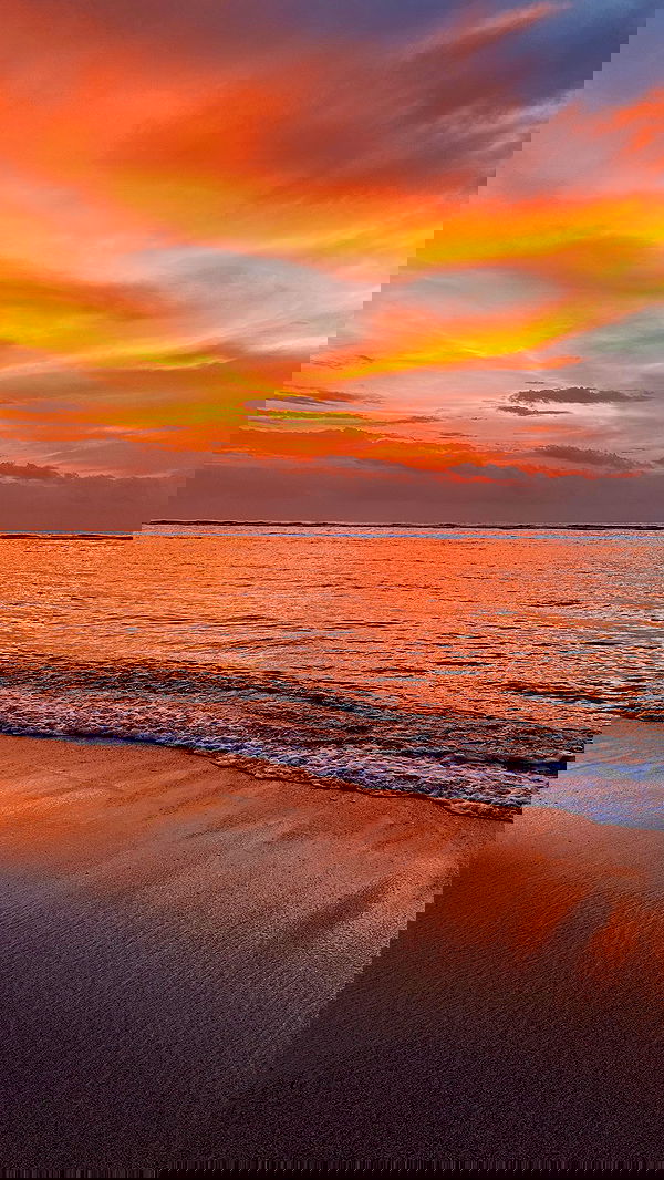 taylor.creeden taylor.creeden archive image