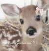 1uvgabi Altpins Profile Picture