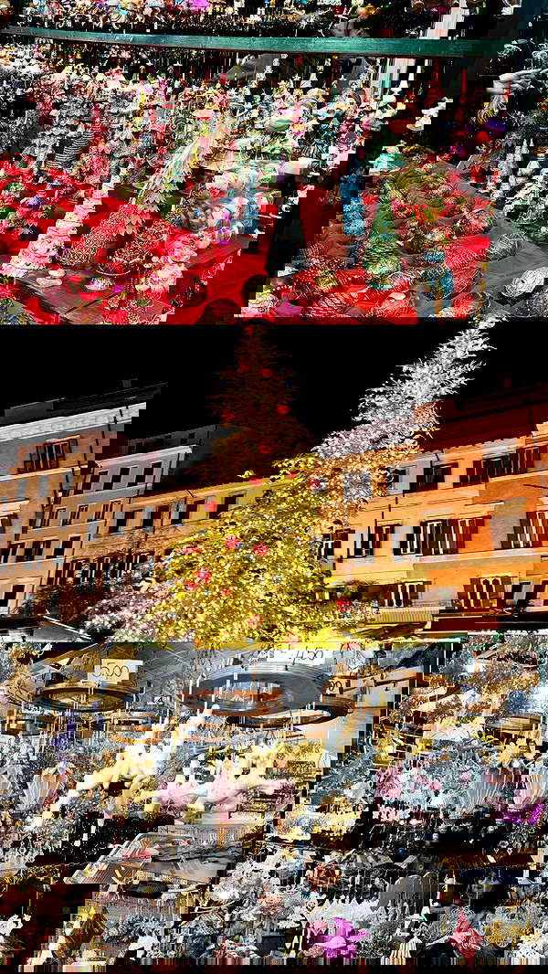 elsgatti image ~ Altpins