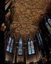 tatumchurch Altpins Profile Picture