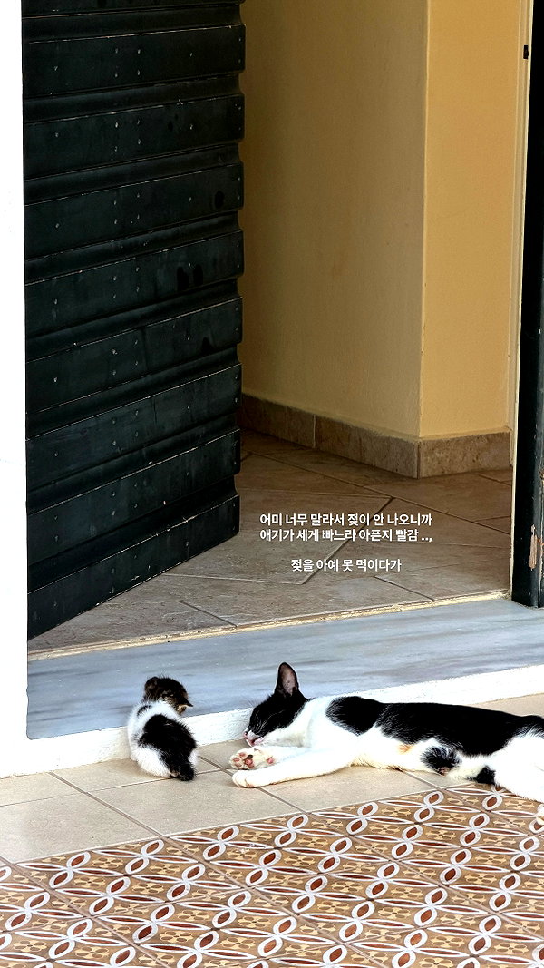daxbin instagram image archive image