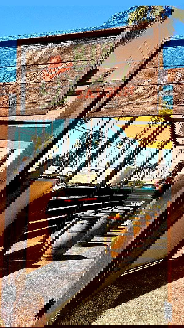 taylor.creeden taylor.creeden archive image