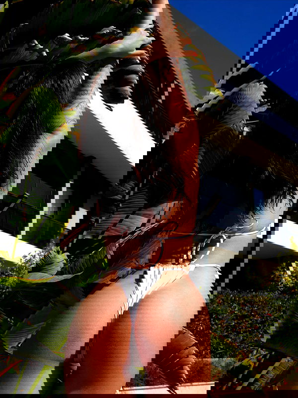 pollcherri pollcherri archive image