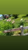 olivia.bolgerr Altpins Profile Picture