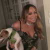mariahcarey Altpins Profile Picture
