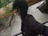 h1k21k0m0r1 Altpins Profile Picture