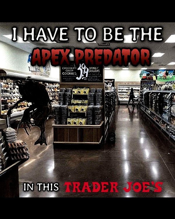leanbeefpatty instagram image archive image