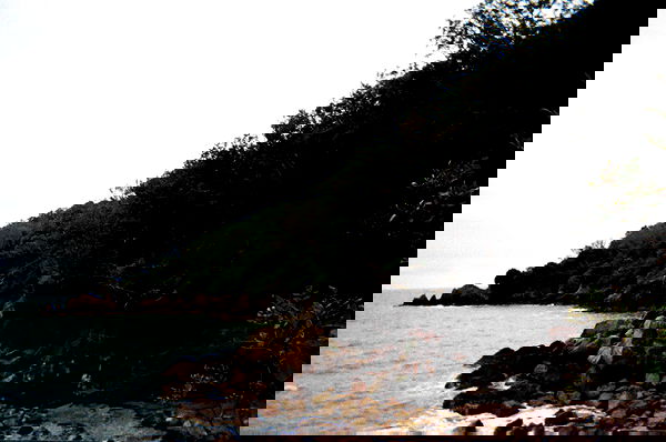 veiyul veiyul archive image