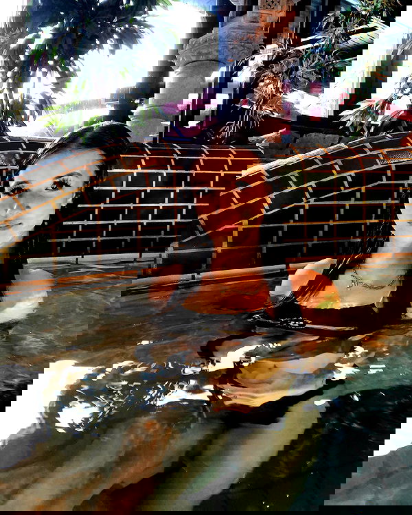 m1chelleluna m1chelleluna archive image